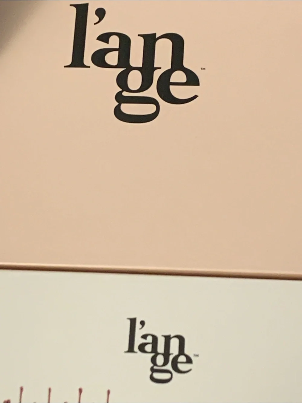L'ange Hair Le Volume 2-in-1 Box, 60MM Brush Cover, Cleaning Tool READ